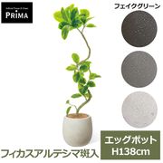 �ե��������꡼�� �͹����տ�ʪ �緿 ���å� �ե����� ����ƥ��� ������ H130cm ����ƥꥢ���꡼�� ȭ�դ� ��ʪ ¤�� ȭ���å� �͵� �ꥢ�� PRGR-1770 GREENPARK ����̵�� 