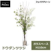 �ɥ�����ĥĥ� �ե����� ���꡼�� �͵� ¤�� �� �ޤ�� �͹����տ�ʪ ���å� ��� H110cm ����ƥꥢ���꡼�� ������� �����դ� ���տ�ʪ PRGR-1795 GREENPARK ����̵�� 