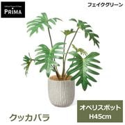 �ե��������꡼�� ��� �͹����տ�ʪ ���å� ���å��Х� �͵� ¤�� H45cm ����ƥꥢ���꡼�� ������� ȭ�դ� ���տ�ʪ ���ʪ ȭ���å� PRGR-1795 GREENPARK ����̵�� 