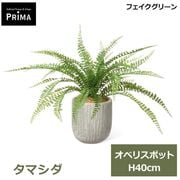 �ե��������꡼�� ��� �͹����տ�ʪ ���å� ���ޥ��� ���� ¤�� H40cm ����ƥꥢ���꡼�� ������� ȭ�դ� ���տ�ʪ ȭ���å� �������� PRGR-1794 GREENPARK ����̵�� 
