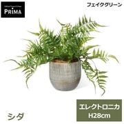 �ե��������꡼�� ��� �͹����տ�ʪ ���å� ���� ¤�� H28cm ����ƥꥢ���꡼�� ������� ȭ�� ���տ�ʪ ȭ���å� �͵� �������� ��ʪ PRGR-1697 GREENPARK ����̵�� 