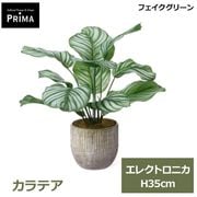 �ե��������꡼�� ��� �͹����տ�ʪ ���å� ����ƥ� ¤�� H35cm ����ƥꥢ���꡼�� ������� ȭ�դ� ���տ�ʪ ȭ���å� �������� �͵� PRGR-1699 GREENPARK ����̵�� 