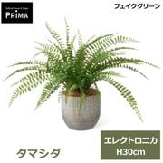 �ե��������꡼�� ��� �͹����տ�ʪ ���å� ���ޥ��� ¤�� H30cm ����ƥꥢ���꡼�� ȭ�դ� ���տ�ʪ ȭ���å� ������� �������� �͵� PRGR-1841 GREENPARK ����̵�� 