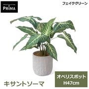 �ե��������꡼�� ��� �͹����տ�ʪ ���å� ������ȥ����� ¤�� H47cm ����ƥꥢ���꡼�� ȭ�� ���տ�ʪ ȭ���å� ������� �������� PRGR-1788 GREENPARK ����̵�� 
