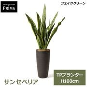 �ե��������꡼�� �͹����տ�ʪ ���å� ���󥻥٥ꥢ ¤�� H100cm ����ƥꥢ���꡼�� ȭ�� ���տ�ʪ ȭ���å� ������� �������� ��ʪ PRGR-1777 GREENPARK ����̵�� 