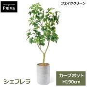 �ե��������꡼�� �͹����տ�ʪ �緿 ���å� �����ե�� �����֥ݥå� ¤�� H190cm ����ƥꥢ���꡼�� ȭ�դ� ȭ���å� ������� ���տ�ʪ PRGR-1811 GREENPARK ����̵�� 