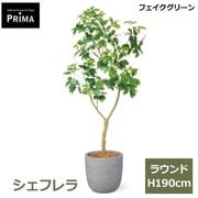 �ե��������꡼�� �͹����տ�ʪ �緿 ���å� �����ե�� �饦��� ¤�� H190cm ����ƥꥢ���꡼�� ȭ�դ� ȭ���å� ���տ�ʪ �͵� ������� PRGR-1813 GREENPARK ����̵�� 