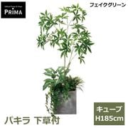 �ե��������꡼�� �͹����տ�ʪ �緿 ���å� �ѥ��� ȯ��� money tree H185cm ����ƥꥢ���꡼�� �ﵯʪ �Ɀ���å� �������� ȭ�դ� ��ʪ PRGR-1601 GREENPARK ����̵�� 