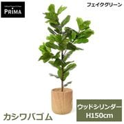 �ե��������꡼�� �͹����տ�ʪ �緿 ���å� ������Х��� H150cm ����ƥꥢ���꡼�� ȭ�դ� ��ʪ ¤�� ȭ���å� ������� �͵� ���տ�ʪ PRGR-1823 GREENPARK ����̵�� 