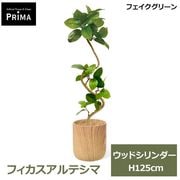 �ե��������꡼�� �͹����տ�ʪ ���å� �ե����� ����ƥ��� ������� H125cm ����ƥꥢ���꡼�� ȭ�դ� ��ʪ ¤�� ȭ���å� �͵� �ꥢ�� PRGR-1826 GREENPARK ����̵�� 