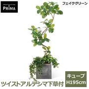 �ե��������꡼�� �͹����տ�ʪ �緿 ���å� ����٥顼�� H160cm ����ƥꥢ���꡼�� ȭ�դ� ��ʪ ¤�� ȭ���å� ������� �͵� ���տ�ʪ PRGR-1541 GREENPARK ����̵�� 