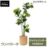 �ե��������꡼�� �͹����տ�ʪ �緿 ���å� ����٥顼�� H160cm ����ƥꥢ���꡼�� ȭ�դ� ��ʪ ȭ���å� ������� ���տ�ʪ �͵� �ꥢ�� PRGR-1828 GREENPARK ����̵�� 