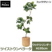 �ե��������꡼�� �͹����տ�ʪ �緿 ���å� �ĥ����� ����٥顼�� H195cm ����ƥꥢ���꡼�� ȭ�դ� ��ʪ ȭ���å� ������� ���տ�ʪ PRGR-1831 GREENPARK ����̵�� 