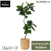 �ե��������꡼�� �͹����տ�ʪ �緿 ���å� ����꡼�� ������� H150cm ����ƥꥢ���꡼�� ȭ�դ� ��ʪ ȭ���å� ������� ���տ�ʪ �͵� PRGR-1824 GREENPARK ����̵�� 