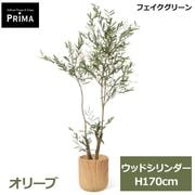 �ե��������꡼�� �͹����տ�ʪ �緿 ���å� ���꡼�� H170cm ����ƥꥢ���꡼�� ȭ�դ� ��ʪ ȭ���å� ������� ���տ�ʪ �͵� �ꥢ�� PRGR-1825 GREENPARK ����̵�� 