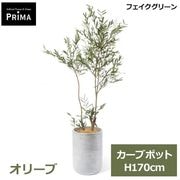 �ե��������꡼�� �͹����տ�ʪ �緿 ���å� ���꡼�� H170cm ����ƥꥢ���꡼�� ȭ�դ� ��ʪ ȭ���å� ������� ���տ�ʪ �͵� �ꥢ�� PRGR-1816 GREENPARK ����̵�� 