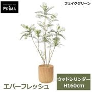 �ե��������꡼�� �͹����տ�ʪ �緿 ���å� ���С��ե�å��� H160cm ����ƥꥢ���꡼�� ȭ�դ� ��ʪ ȭ���å� ������� ���տ�ʪ �͵� PRGR-1839 GREENPARK ����̵�� 