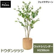 �ե��������꡼�� �͹����տ�ʪ �緿 ���å� �ɥ�����ĥĥ� H150cm ����ƥꥢ���꡼�� ȭ�դ� ��ʪ ȭ���å� ������� ���տ�ʪ �͵� ¤�� PRGR-1837 GREENPARK ����̵�� 