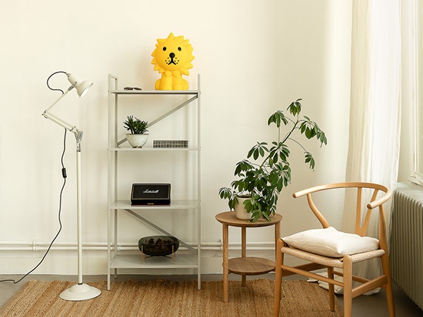 ơ֥ 饤 ʥȥ饤 ߥåե 饤 50cm LED  礭  ֥롼 å ƥꥢ ץ쥼 ˤ  MM-010 ̵ 