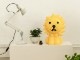 ơ֥ 饤 ʥȥ饤 ߥåե 饤 50cm LED  礭  ֥롼 å ƥꥢ ץ쥼 ˤ  MM-010 ̵ 