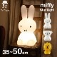 ơ֥ 饤 ʥȥ饤 ߥåե 饤 50cm LED  礭  ֥롼 å ƥꥢ ץ쥼 ˤ  MM-010 ̵ 