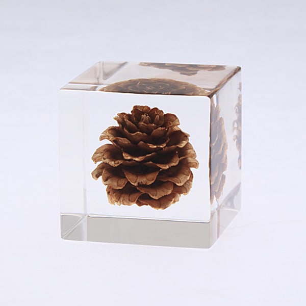 ����ޥ� Sola cube �� ���饭�塼�� �������Υͥɥ� ������� ����ƥꥢ Ω��ɸ�� Ʃ�� ��ʪ ��ʪ ���ꥢ �ץ쥼��� ���� ���� ��åԥ� ���ե� Ȣ ���꡼�� �ץ��� ���� �޴� �İ��� ��ΤҤ� ���쥤 Ȣ ������� ���ե� ����̵�� ��åԥ��б� 