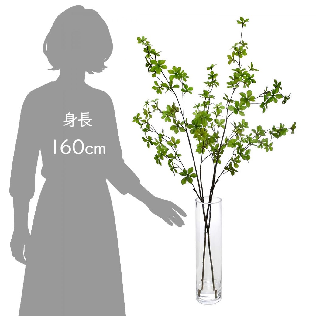 �ե��������꡼�� ���տ�ʪ �ɥ�����ĥĥ� ¤�� ��� ������� ��ʪ ����ƥꥢ ������ ����ƥꥢ �͹� ��ʪ �ץ쥼��� ���ե� ���ˤ� �͵� PRGR 1234 GREENPARK ����̵�� 