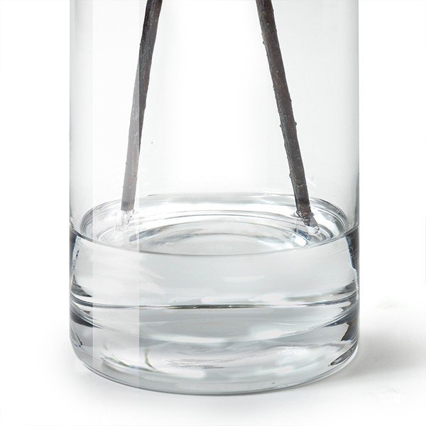 �ե��������꡼�� ���տ�ʪ �ɥ�����ĥĥ� ¤�� ��� ������� ��ʪ ����ƥꥢ ������ ����ƥꥢ �͹� ��ʪ �ץ쥼��� ���ե� ���ˤ� �͵� PRGR 1234 GREENPARK ����̵�� 