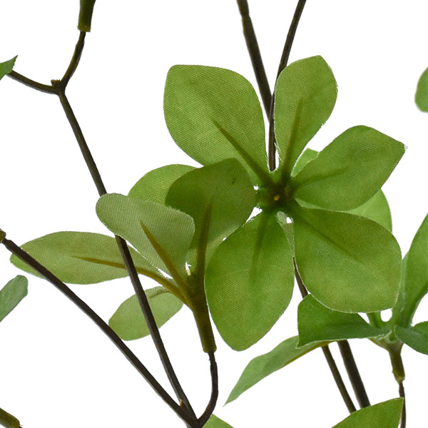 �ե��������꡼�� ���տ�ʪ �ɥ�����ĥĥ� ¤�� ��� ������� ��ʪ ����ƥꥢ ������ ����ƥꥢ �͹� ��ʪ �ץ쥼��� ���ե� ���ˤ� �͵� PRGR 1234 GREENPARK ����̵�� 