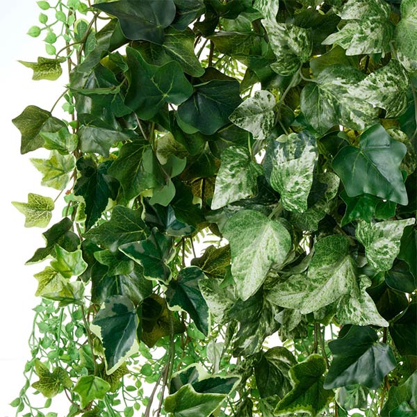 �ե��������꡼�� ���տ�ʪ �͹����տ�ʪ ¤�� �ɳݤ� ���꡼�󥫡��ƥ� ���硼�� �����ӡ� �쥶���ե��� �꡼�եХ��� ������� ���꡼�� PRGR-1511S GREENPARK 