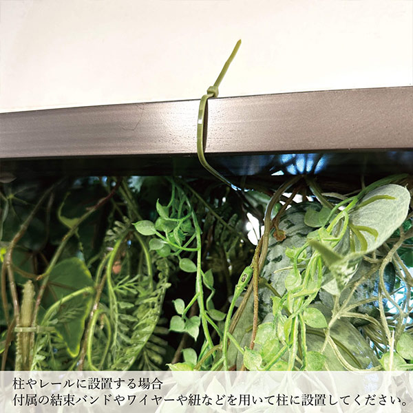 �ե��������꡼�� ���տ�ʪ �͹����տ�ʪ ¤�� �ɳݤ� ���꡼�󥫡��ƥ� ���硼�� �����ӡ� �쥶���ե��� �꡼�եХ��� ������� ���꡼�� PRGR-1511S GREENPARK 