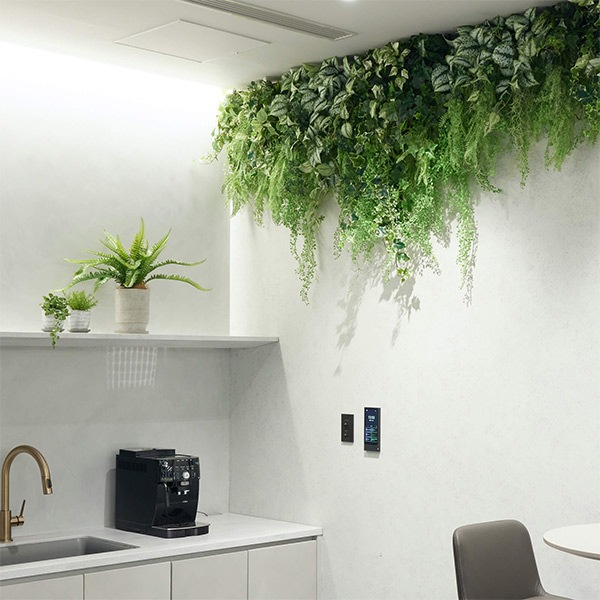 �ե��������꡼�� ���տ�ʪ �͹����տ�ʪ ¤�� �ɳݤ� ���꡼�󥫡��ƥ� ���硼�� �����ӡ� �쥶���ե��� �꡼�եХ��� ������� ���꡼�� PRGR-1511S GREENPARK 