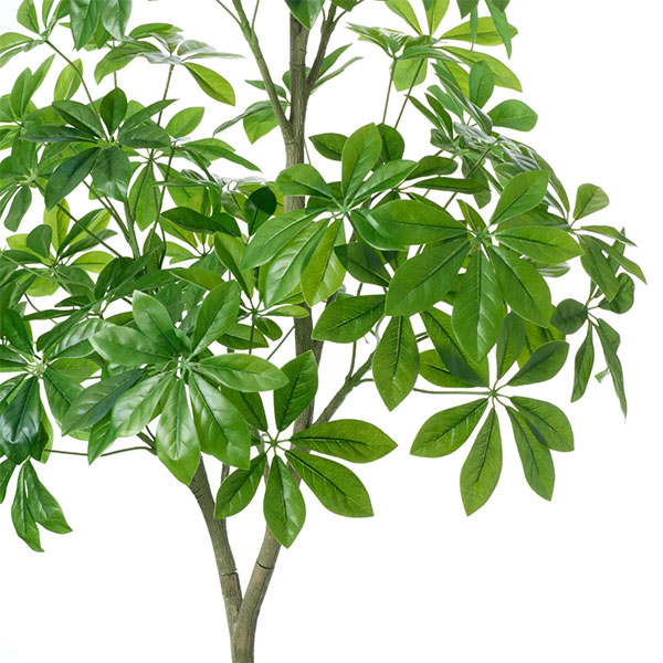 ե꡼ տʪ ͹տʪ ¤ 緿 ꡼ ե 饦ɥݥå H170cm ƥꥢ  ͵  ʪ PRGR-1536 GREENPARK ̵ 