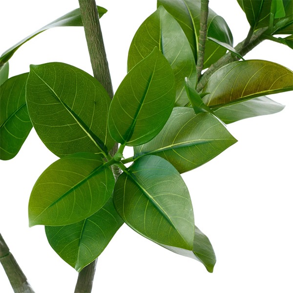 �ե��������꡼�� ���տ�ʪ �͹����տ�ʪ ¤�� �緿 �ե��������ե��� �饦��ɥݥå� H170cm ����ƥꥢ ������� �͵� ���� ����ץ� PRGR-1537 GREENPARK ����̵�� 