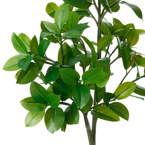 �ե��������꡼�� ���տ�ʪ �͹����տ�ʪ ¤�� �緿 �ե��������ե��� �饦��ɥݥå� H170cm ����ƥꥢ ������� �͵� ���� ����ץ� PRGR-1537 GREENPARK ����̵�� 