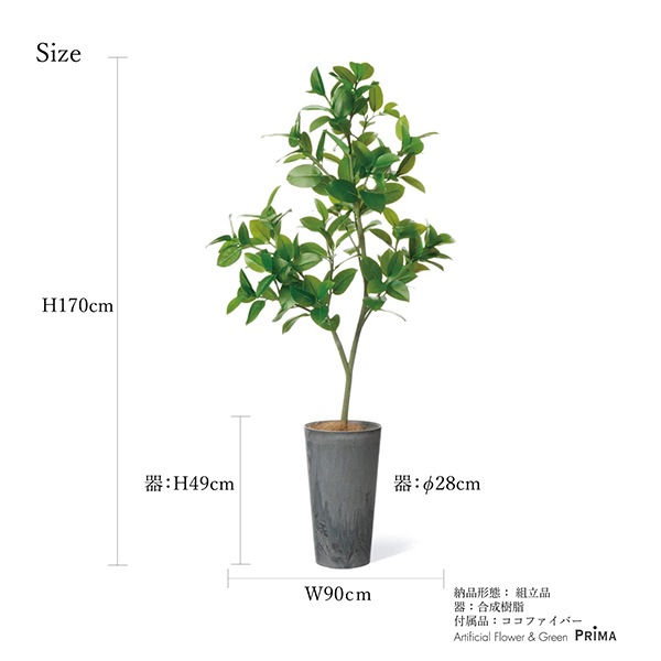 �ե��������꡼�� ���տ�ʪ �͹����տ�ʪ ¤�� �緿 �ե��������ե��� �饦��ɥݥå� H170cm ����ƥꥢ ������� �͵� ���� ����ץ� PRGR-1537 GREENPARK ����̵�� 