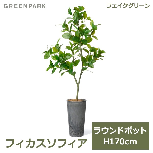 �ե��������꡼�� ���տ�ʪ �͹����տ�ʪ ¤�� �緿 �ե��������ե��� �饦��ɥݥå� H170cm ����ƥꥢ ������� �͵� ���� ����ץ� PRGR-1537 GREENPARK ����̵�� 