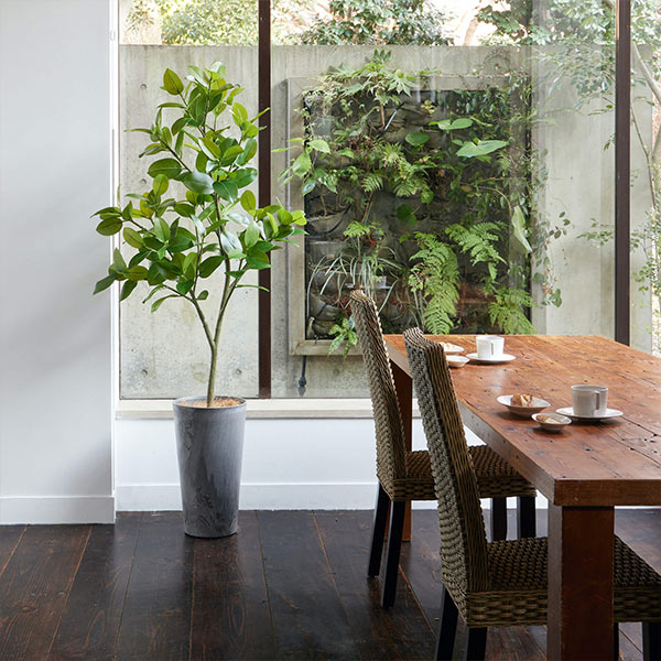 �ե��������꡼�� ���տ�ʪ �͹����տ�ʪ ¤�� �緿 �ե��������ե��� �饦��ɥݥå� H170cm ����ƥꥢ ������� �͵� ���� ����ץ� PRGR-1537 GREENPARK ����̵�� 