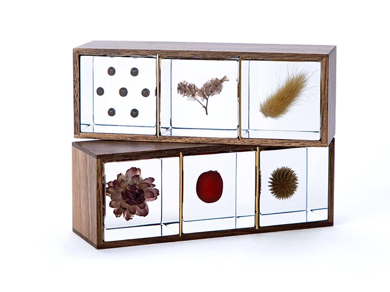 ���饭�塼�� ���� ��Ȣ 3���� �������Υͥɥ� ������� ����ƥꥢ Ω��ɸ�� �޴� ��ʪ Ω���� Ȣ �ץ쥼��� ���ե� ���� ���� ��ʪ ���� Ʃ�� �� Sola cube ����̵�� ��åԥ��б� 