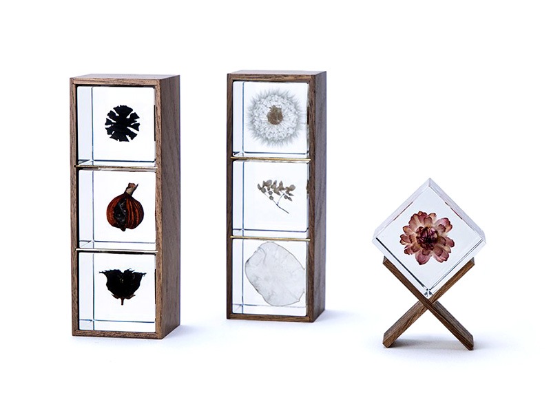 ���饭�塼�� ���� ��Ȣ 3���� �������Υͥɥ� ������� ����ƥꥢ Ω��ɸ�� �޴� ��ʪ Ω���� Ȣ �ץ쥼��� ���ե� ���� ���� ��ʪ ���� Ʃ�� �� Sola cube ����̵�� ��åԥ��б� 