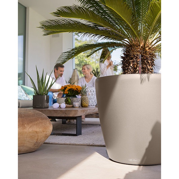 ����ȭ �ץ�󥿡� ������� �����ǥ˥󥰻��� ȭ �緿 ����塼�� �����Υߡ� �饦��� 70 ROUND �Ѹ��� UV�ù� ���ʼ� ���� ����ץ� �ץ饹���å� LE-7070 