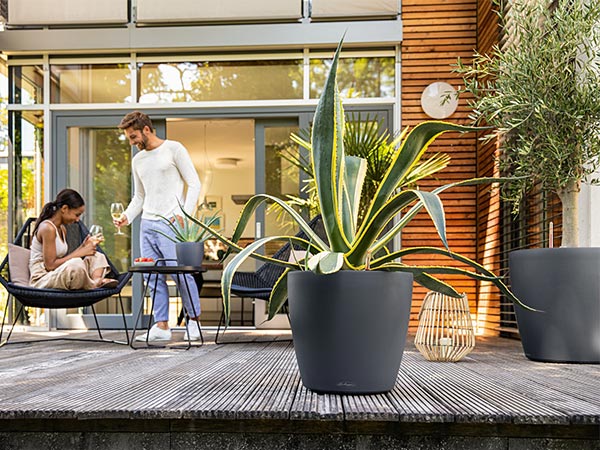 ����ȭ �ץ�󥿡� ������� �����ǥ˥󥰻��� ȭ �緿 ����塼�� �����Υߡ� �饦��� 70 ROUND �Ѹ��� UV�ù� ���ʼ� ���� ����ץ� �ץ饹���å� LE-7070 