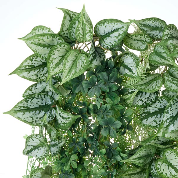 �ե��������꡼�� ���տ�ʪ �͹����տ�ʪ ¤�� �ɳݤ� ���꡼�󥫡��ƥ� ���硼�� �ݥȥ� ��������ץ��� �쥶���ե��� ������� eco PRGR-1512S GREENPARK 