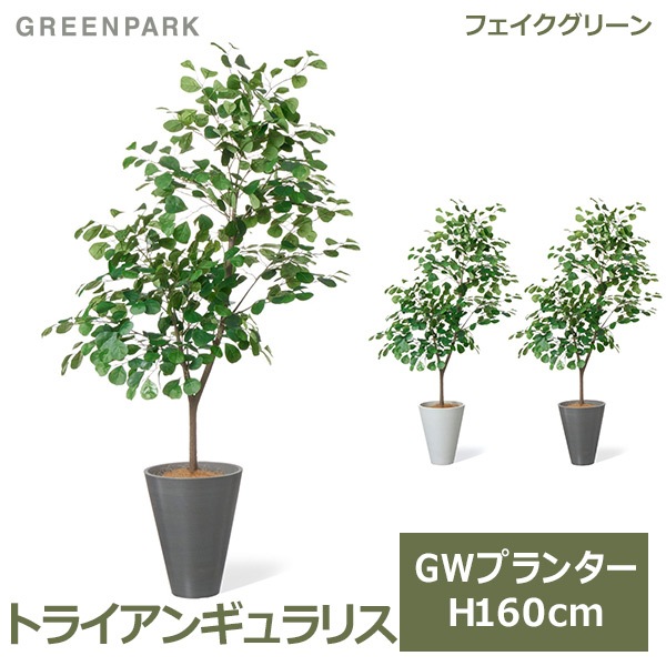 �ե��������꡼�� ���տ�ʪ �͹����տ�ʪ ¤�� �緿 �ȥ饤���󥮥��ꥹ �ե����� �ϡ��Ȥ��� GW �ץ�󥿡� 160cm ��ʪ ������� ȭ�դ� PRGR-1534 GREENPARK 