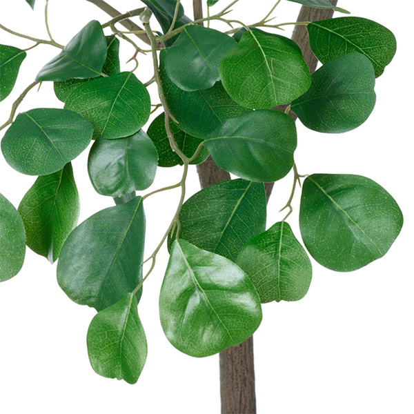 �ե��������꡼�� ���տ�ʪ �͹����տ�ʪ ¤�� �緿 �ȥ饤���󥮥��ꥹ �ե����� �ϡ��Ȥ��� GW �ץ�󥿡� 160cm ��ʪ ������� ȭ�դ� PRGR-1534 GREENPARK 