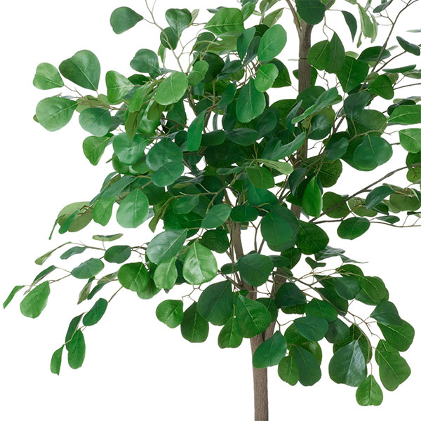 �ե��������꡼�� ���տ�ʪ �͹����տ�ʪ ¤�� �緿 �ȥ饤���󥮥��ꥹ �ե����� �ϡ��Ȥ��� GW �ץ�󥿡� 160cm ��ʪ ������� ȭ�դ� PRGR-1534 GREENPARK 