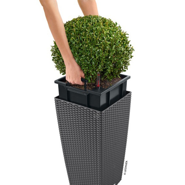 ����ȭ �ץ�󥿡� ������� �����ǥ˥󥰻��� ȭ ����塼�� �����Υߡ� ���ơ��� 30 COTTAGE �Ѹ��� UV�ù� ���ʼ� ���� ����� �ץ饹���å� LE-6030 ����̵�� 