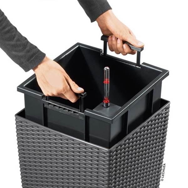 ����ȭ �ץ�󥿡� ������� �����ǥ˥󥰻��� ȭ ����塼�� �����Υߡ� ���ơ��� 30 COTTAGE �Ѹ��� UV�ù� ���ʼ� ���� ����� �ץ饹���å� LE-6030 ����̵�� 