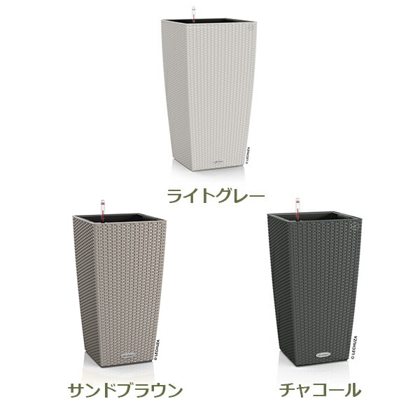 ����ȭ �ץ�󥿡� ������� �����ǥ˥󥰻��� ȭ ����塼�� �����Υߡ� ���ơ��� 30 COTTAGE �Ѹ��� UV�ù� ���ʼ� ���� ����� �ץ饹���å� LE-6030 ����̵�� 