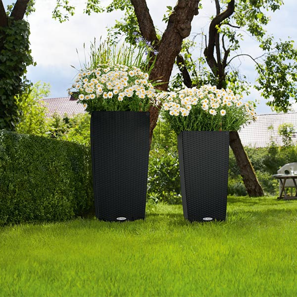 ����ȭ �ץ�󥿡� ������� �����ǥ˥󥰻��� ȭ ����塼�� �����Υߡ� ���ơ��� 30 COTTAGE �Ѹ��� UV�ù� ���ʼ� ���� ����� �ץ饹���å� LE-6030 ����̵�� 